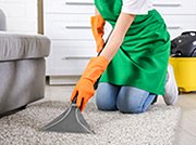 Professional & Affordable Carpet Cleaning Services By Steam Plus of Myrtle Beach