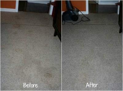 Carpet Cleaning Service Myrtle Beach Before and After (1)
