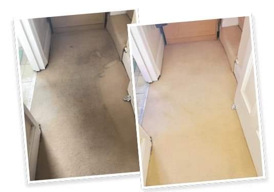 Carpet Cleaning Service Myrtle Beach Before and After (2)